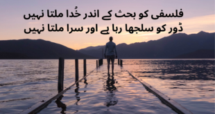 Poetry in Urdu 2 lines attitude