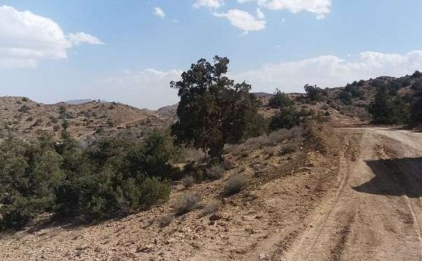 Zarghoon Ghar mountain east of Quetta