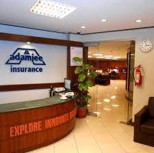 Top Five Car Insurance Companies in Pakistan