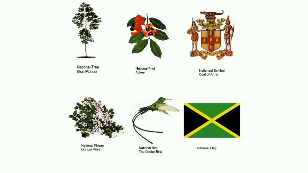 Jamaica Six National Symbols