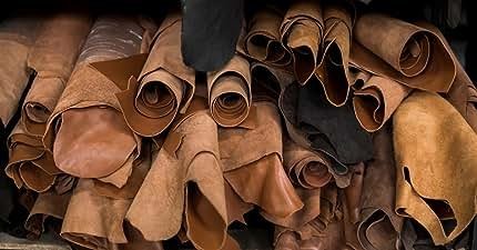 Tannery Industry in Pakistan