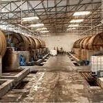 Tannery Industry in Pakistan