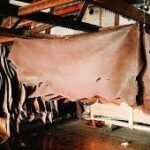 Tannery Industry in Pakistan