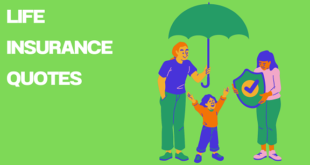 image of Life Insurance Quotes