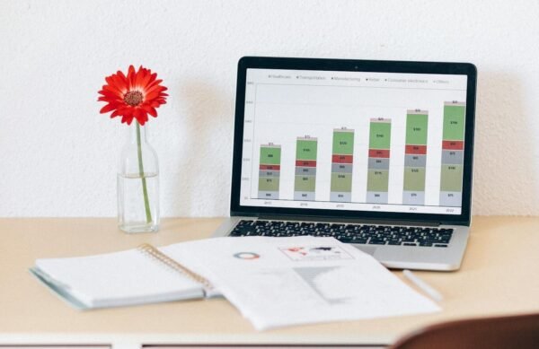 Modern home office with laptop displaying financial charts and a red flower in a vase for a touch of style.